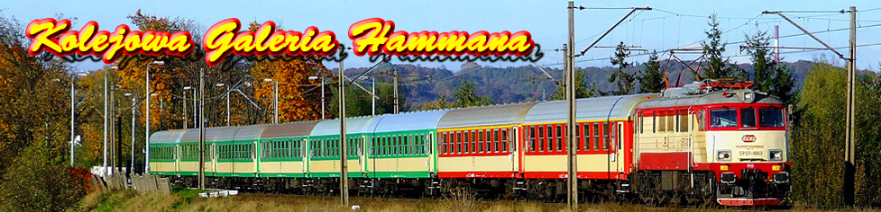 Kolejowa fotostrona Hammana